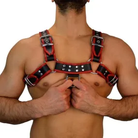 Black & Red Harness