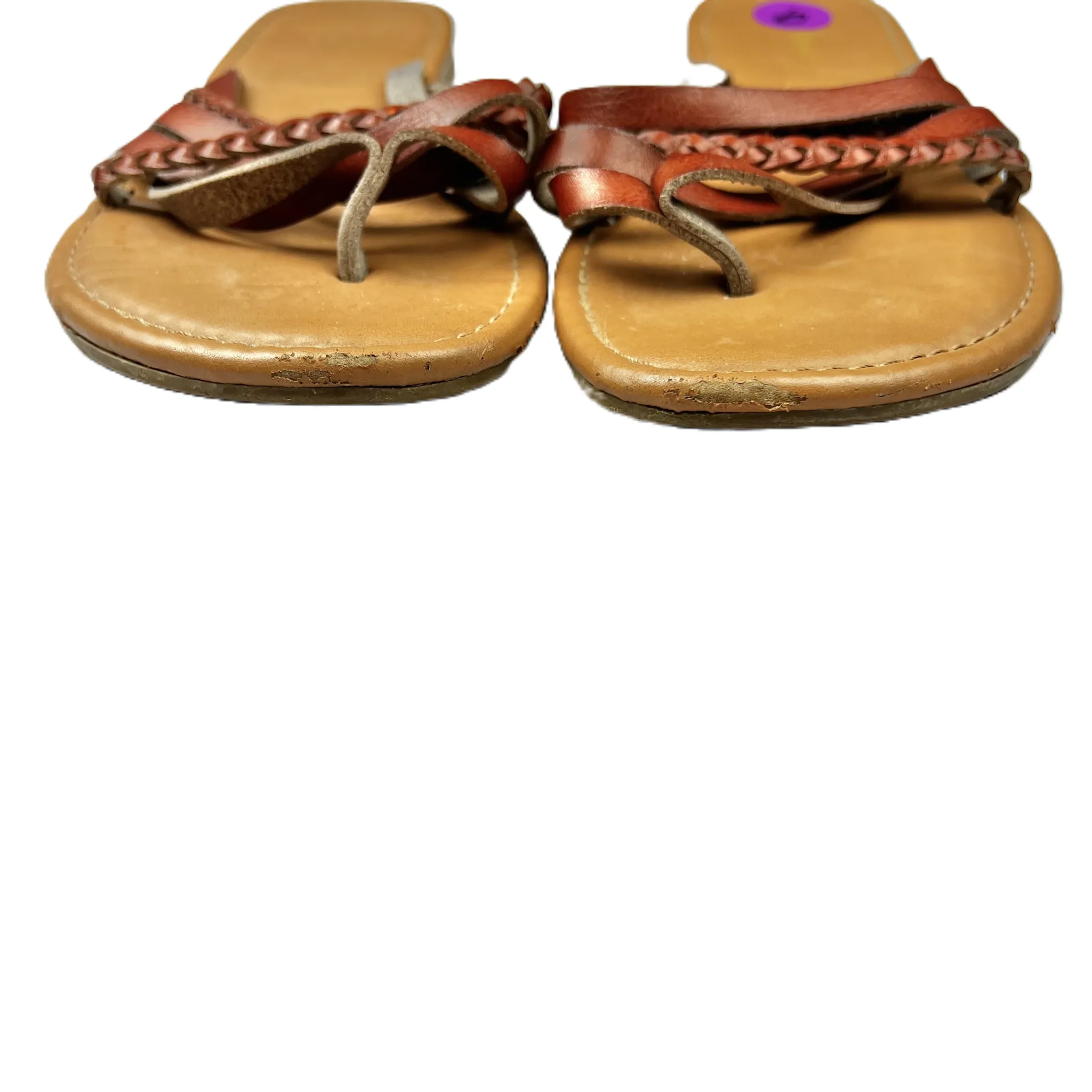 Brown Sandals Flip Flops By Sonoma, Size: 9