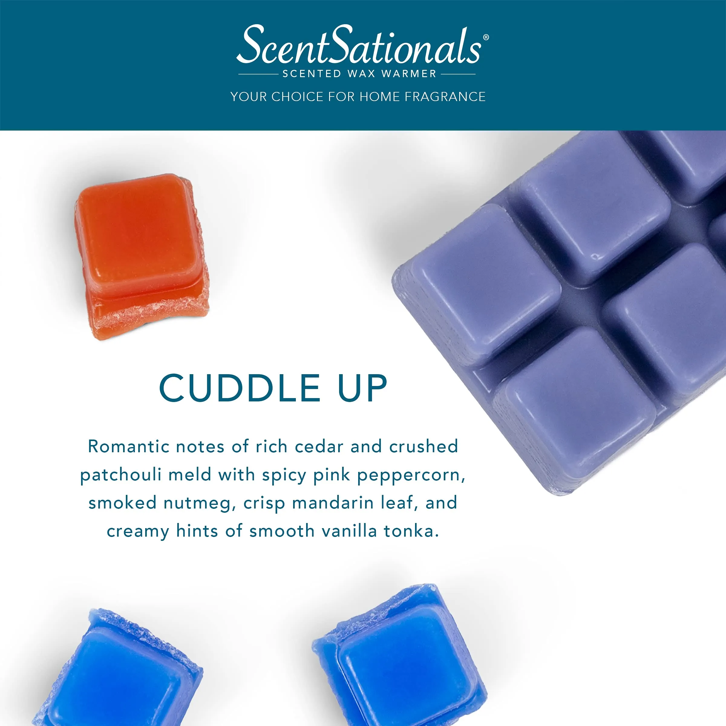 Scentsationals Scented Wax Fragrance Melts - Cuddle Up  2.5 oz (4-Pack)